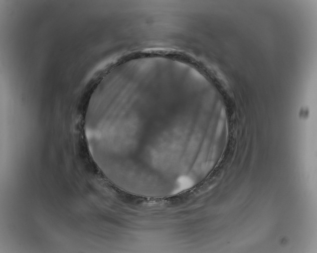 X0000100951351200807221111