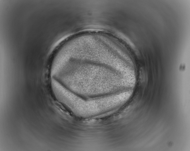 X0000100951352200807221111