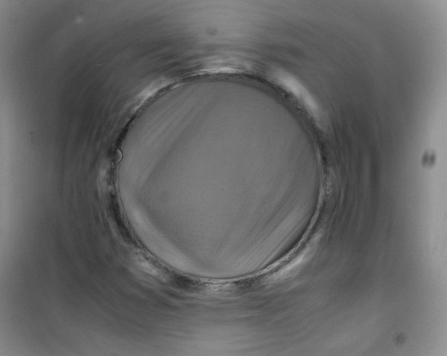 X0000100951353200807221111