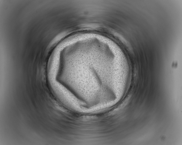 X0000100951354200807221111