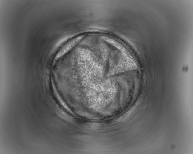 X0000100951355200807221111