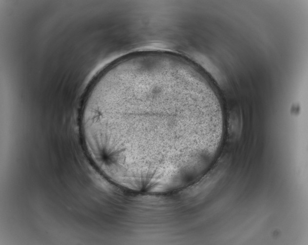 X0000100951356200807221111