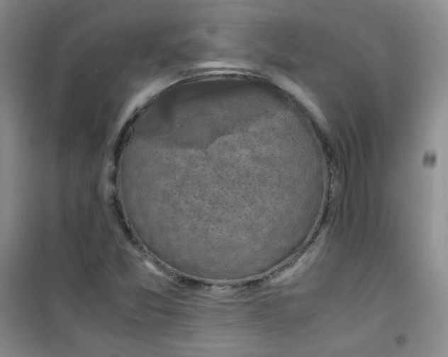 X0000100951357200807221111