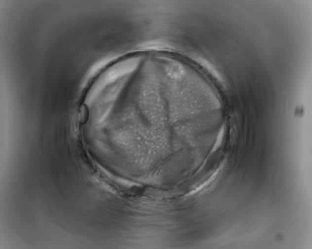 X0000100951358200807221111