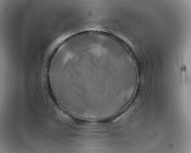 X0000100951359200807221111