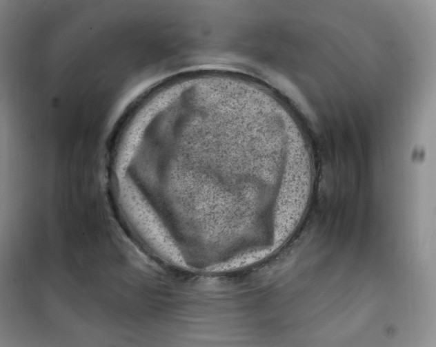 X0000100951360200807221111