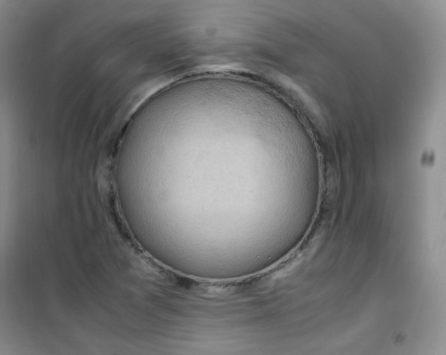 X0000100951361200807221111