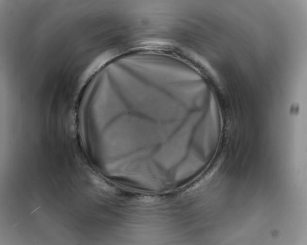 X0000100951362200807221111