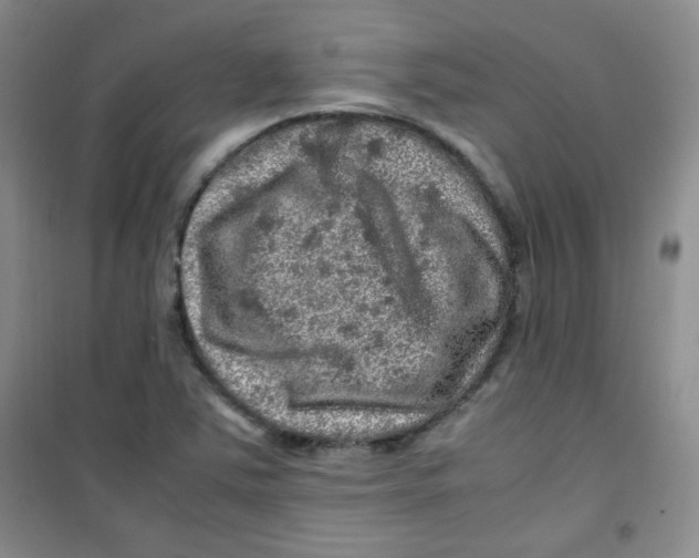 X0000100951363200807221111