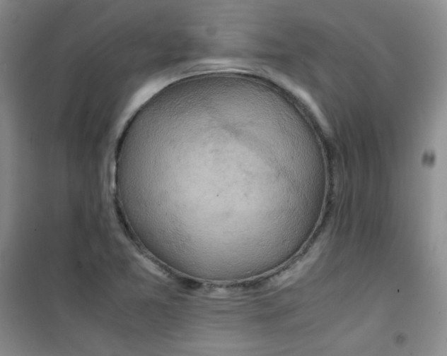 X0000100951365200807221111