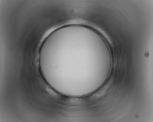 X0000100951366200807221111