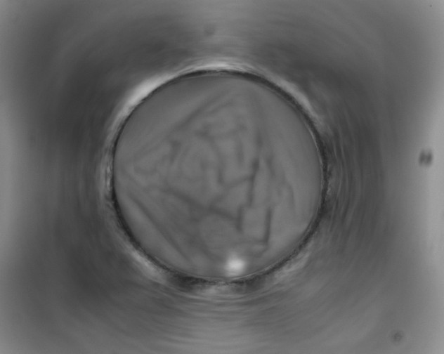 X0000100951367200807221111