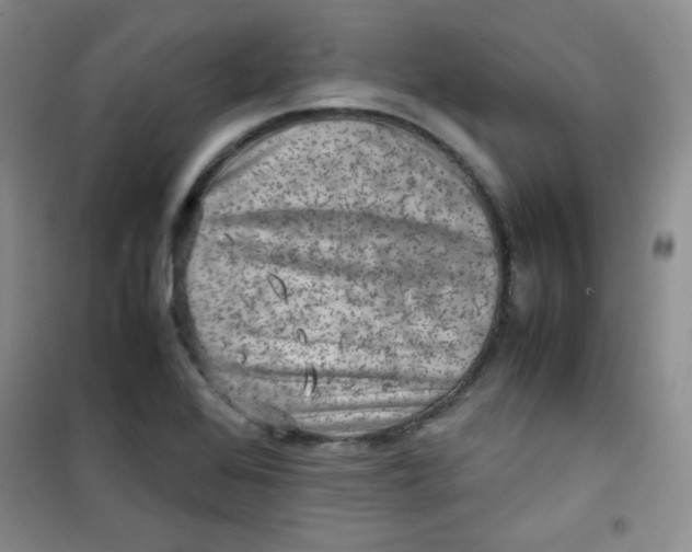 X0000100951368200807221111