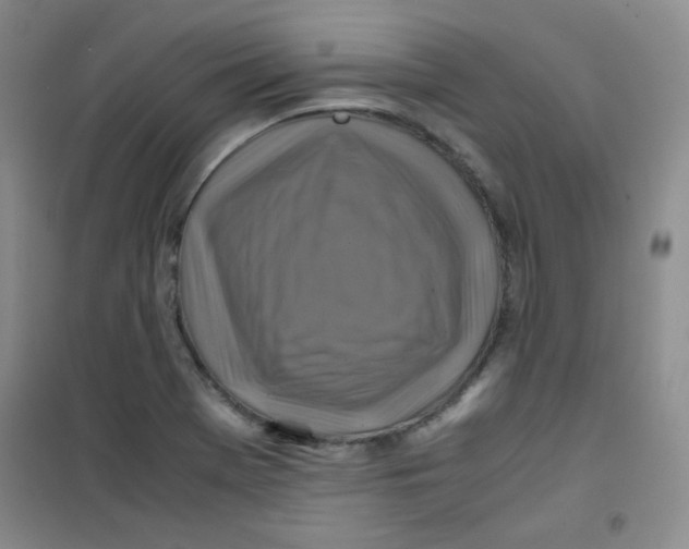 X0000100951369200807221111