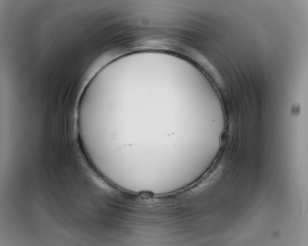 X0000100951370200807221111