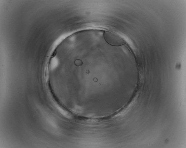 X0000100951371200807221111