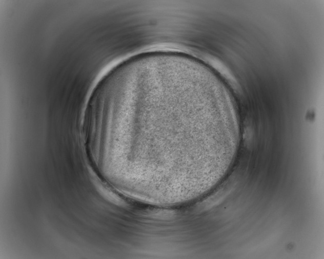 X0000100951372200807221111