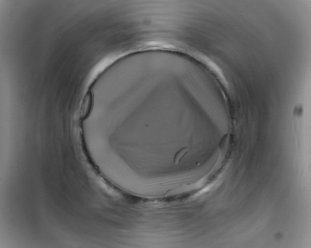 X0000100951373200807221111