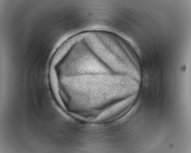 X0000100951374200807221111