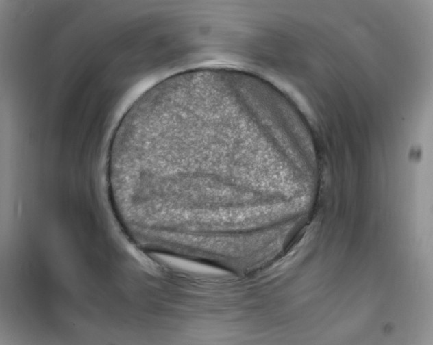 X0000100951375200807221111