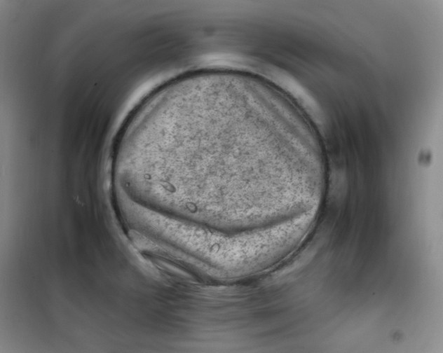 X0000100951376200807221111