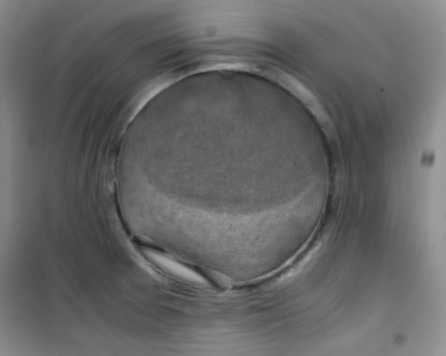 X0000100951377200807221111