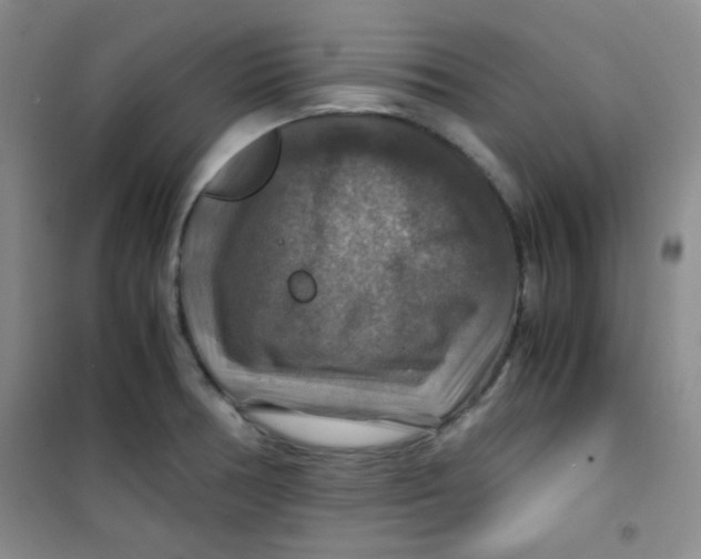 X0000100951378200807221111