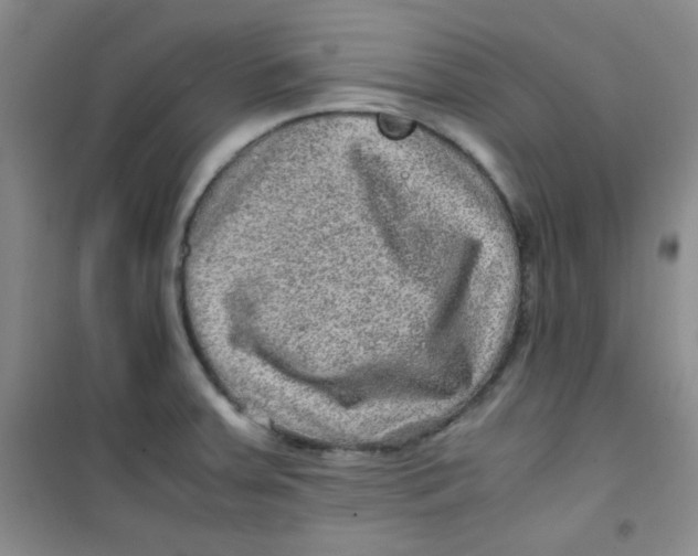 X0000100951379200807221111