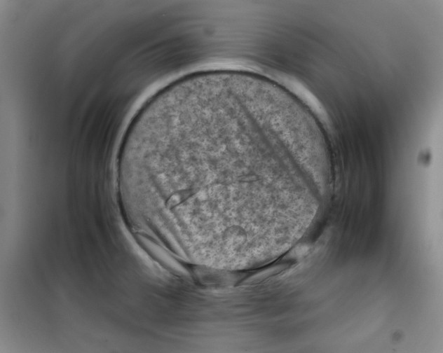 X0000100951380200807221111