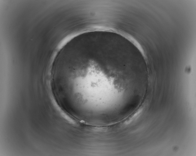 X0000100951381200807221111