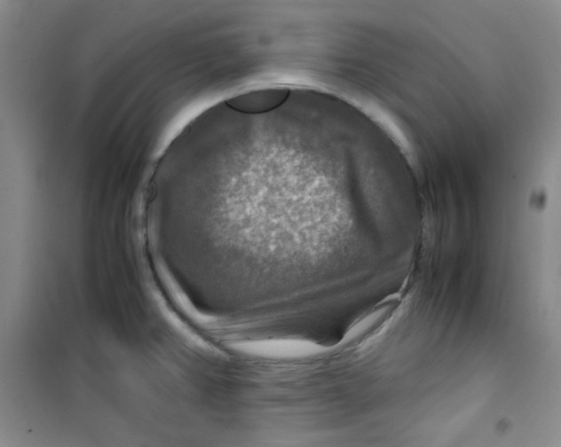 X0000100951382200807221111