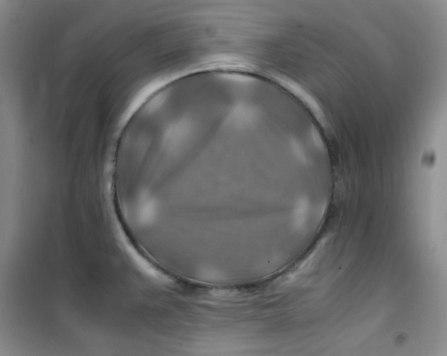 X0000100951383200807221111