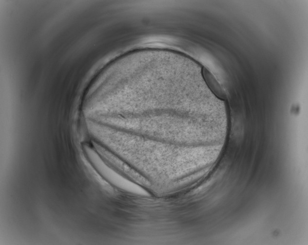 X0000100951384200807221111