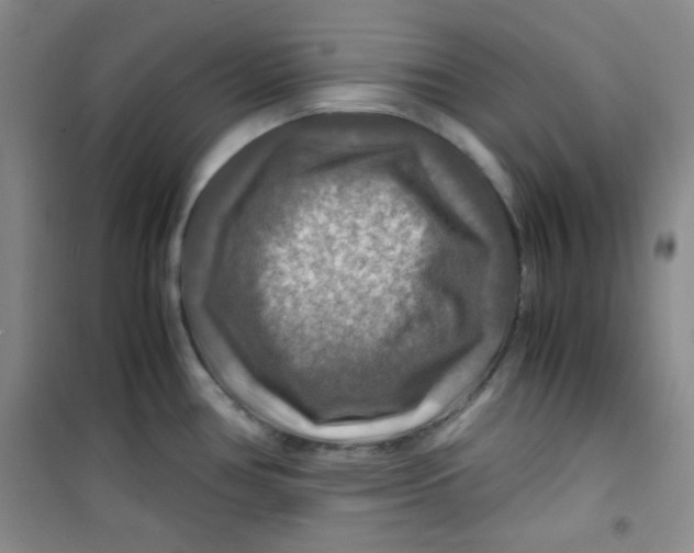 X0000100951386200807221111