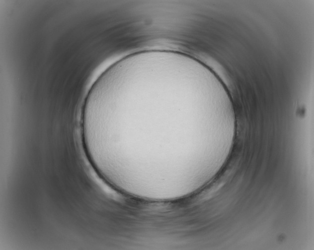 X0000100951387200807221111