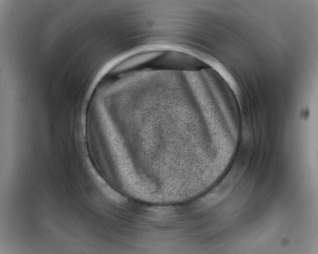 X0000100951388200807221111