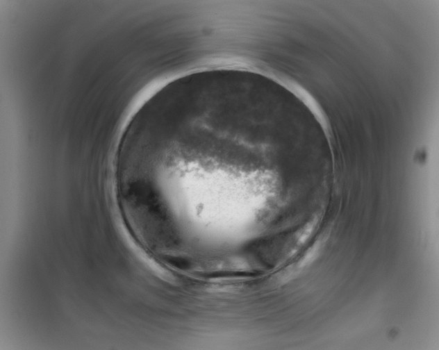 X0000100951389200807221111