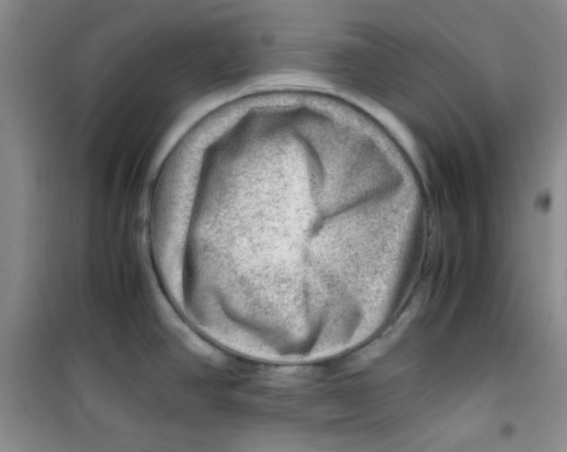 X0000100951390200807221111