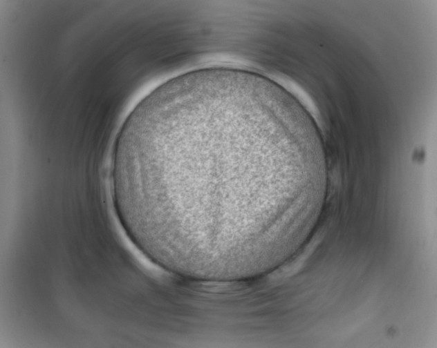 X0000100951391200807221111