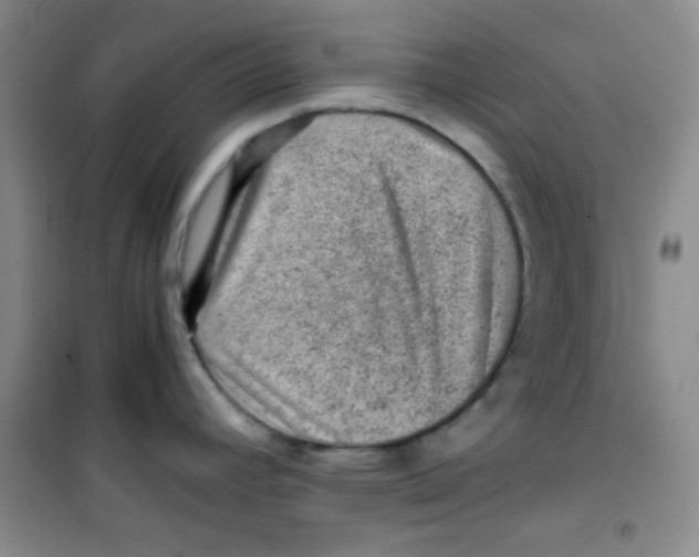 X0000100951392200807221111