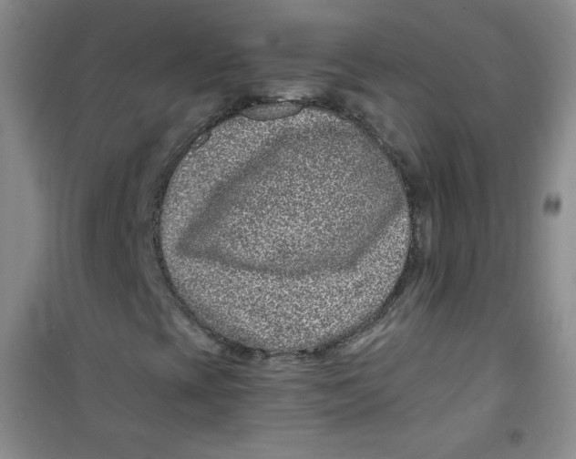 X0000100951393200807221110