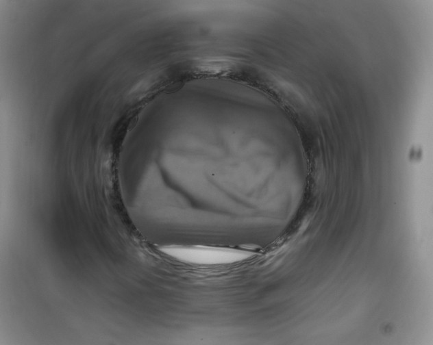 X0000100951394200807221110