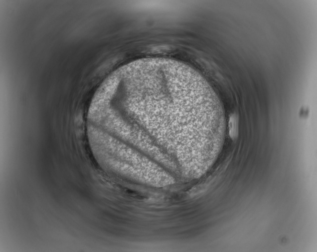 X0000100951395200807221110