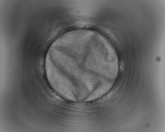 X0000100951396200807221110