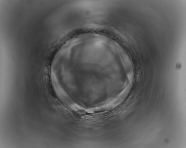 X0000100951397200807221110