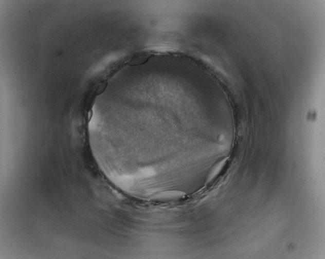 X0000100951398200807221110