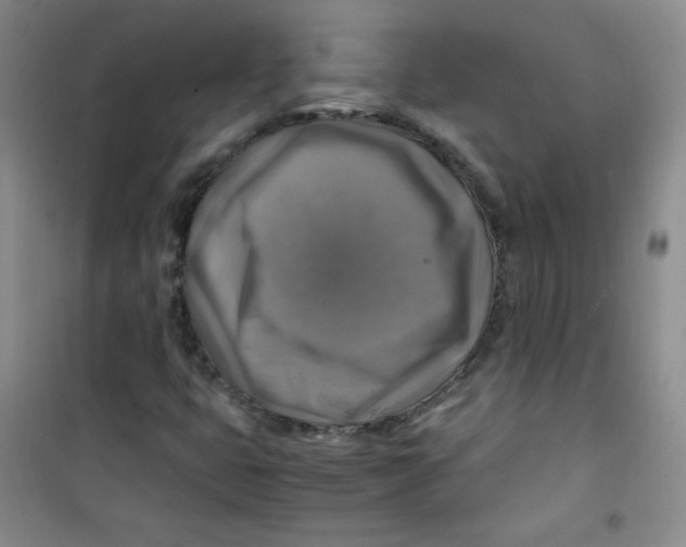 X0000100951399200807221110