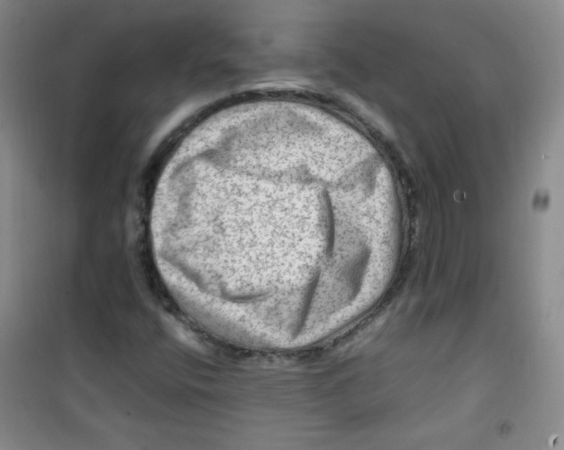 X0000100951400200807221110