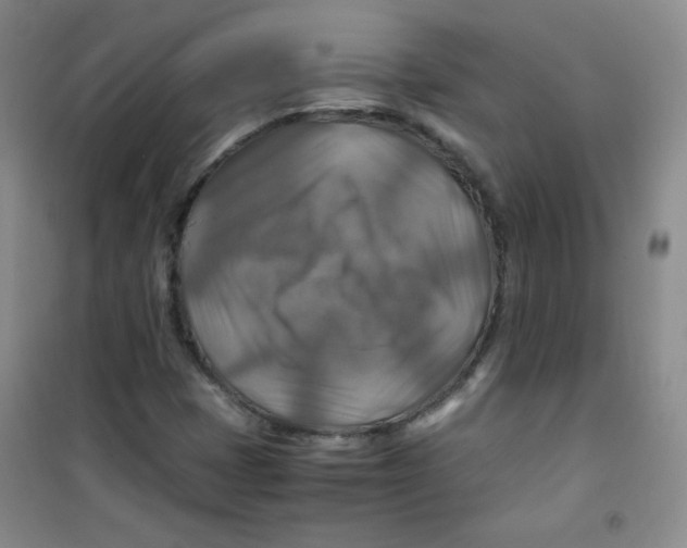 X0000100951401200807221110