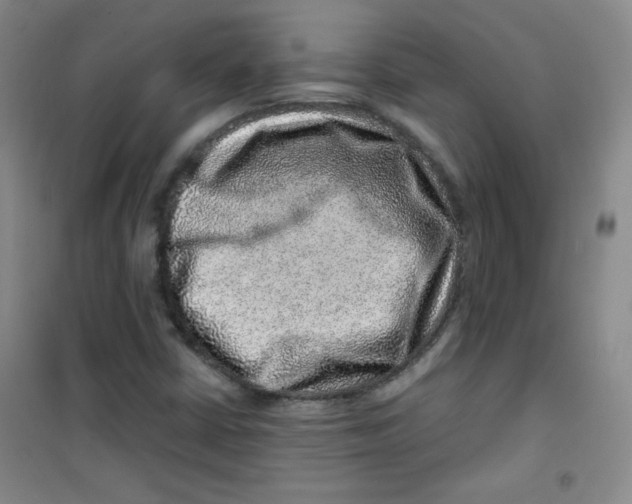 X0000100951402200807221110